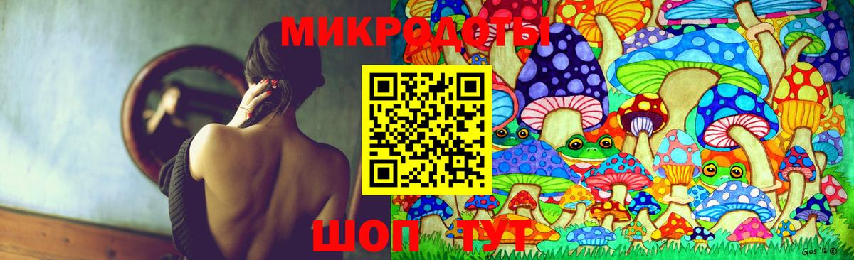 Галлюциногенные грибы Cubensis Родники