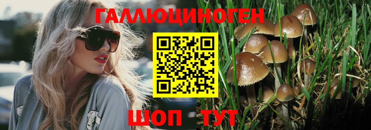 Родники  Галлюциногенные грибы Psilocybe  Вход с VPN 